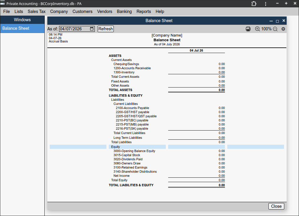Private Accounting screenshot 2